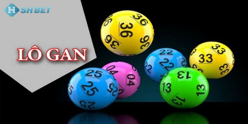 Banner www.sannhiphutho.com