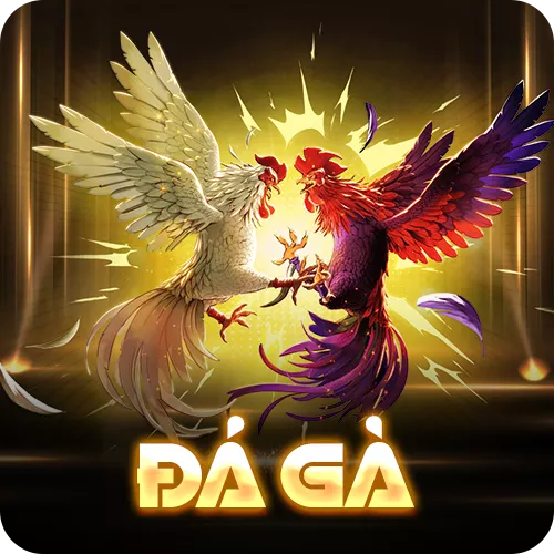 Banner www.sannhiphutho.com