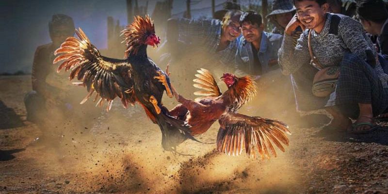 Banner www.sannhiphutho.com