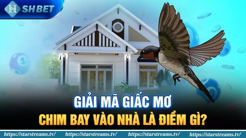 Banner www.sannhiphutho.com