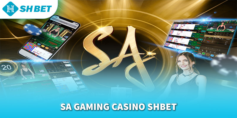 Banner www.sannhiphutho.com