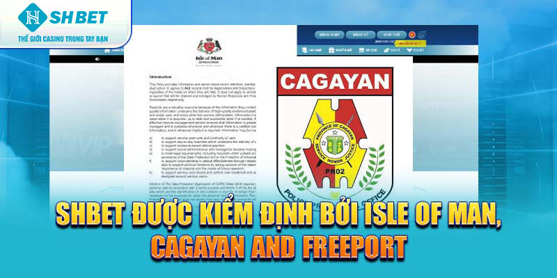 Banner www.sannhiphutho.com