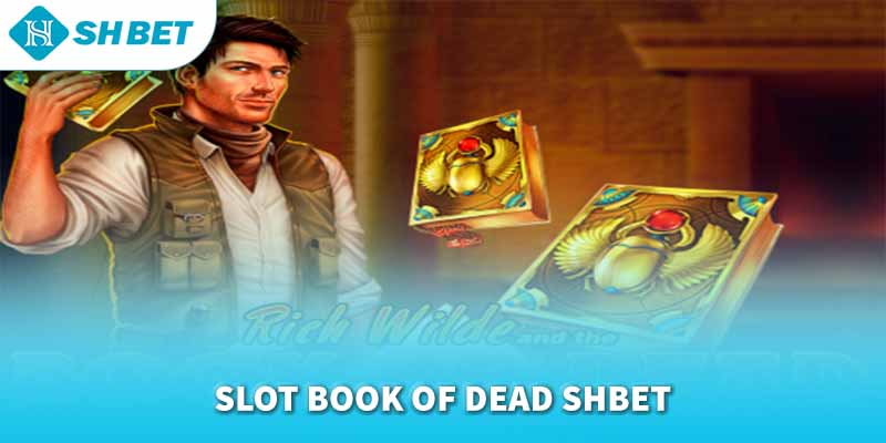 Banner www.sannhiphutho.com