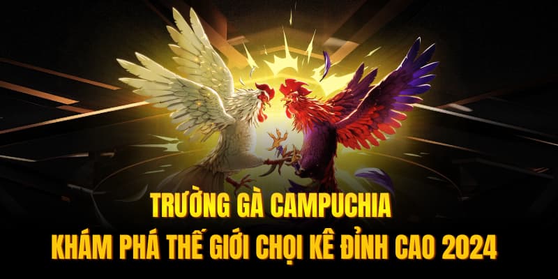 Banner www.sannhiphutho.com