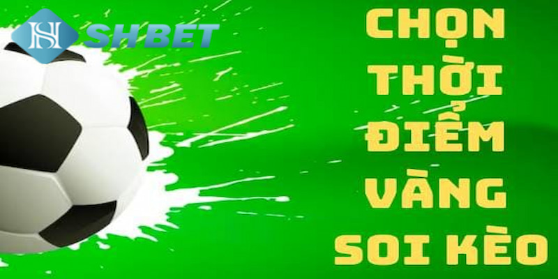 Banner www.sannhiphutho.com